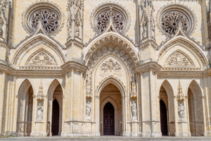 Désinsectisation dératisation Orléans